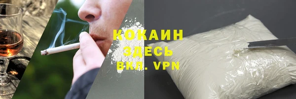 стаф Кирсанов