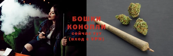 винт Карпинск