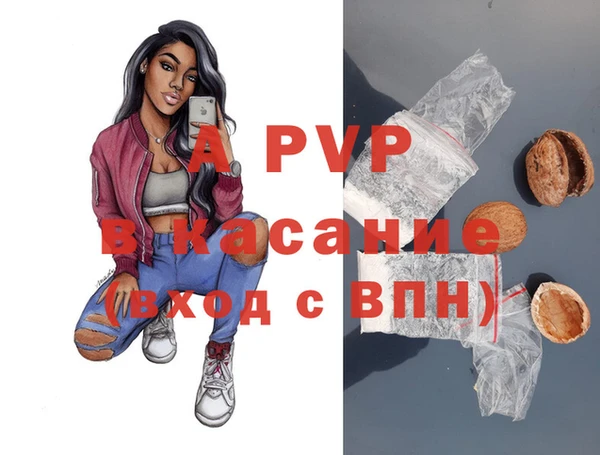 винт Карпинск