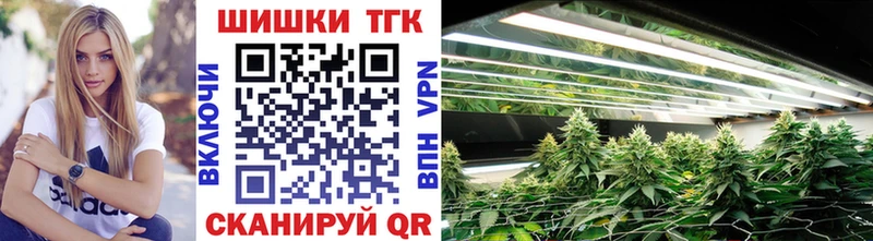 Марихуана план  закладка  Нерчинск 